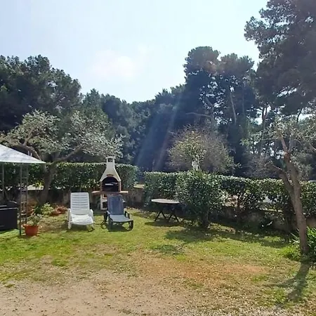 Karmelo Davorka *